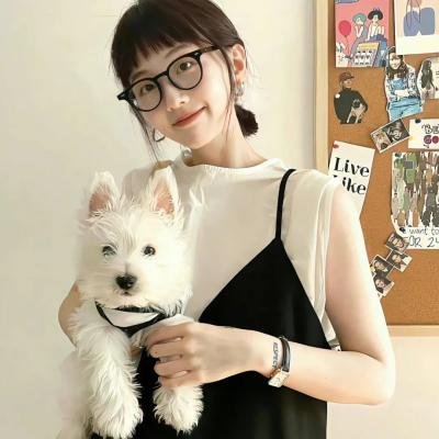 消失的女友