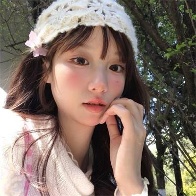 盗影谜情